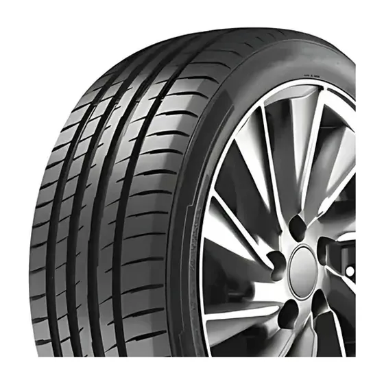 Neumáticos Aptany Ra305 225/55 R19 99V