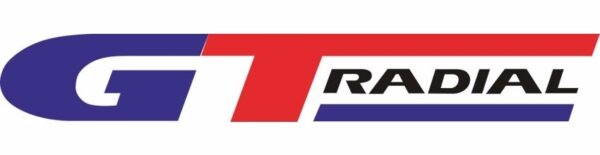Neumatico Gt Radial Champiro Vp1 195/65 R15 91h - Image 3