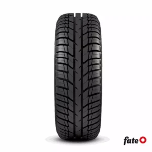 Neumatico Fate 205/55 R16 91h Tl Advance Ar-550